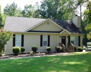 3581 Ivy Crest Way, Buford image