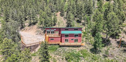 2208 Two Brothers Road, Idaho Springs