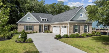 1808 Wood Stork Dr., Conway