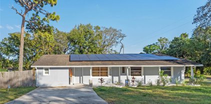 1101 N Nowell Street, Orlando