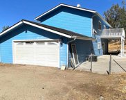 38512 Pepperweed, Squaw Valley image