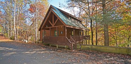 540 WILDWOOD FOREST WAY, Sevierville