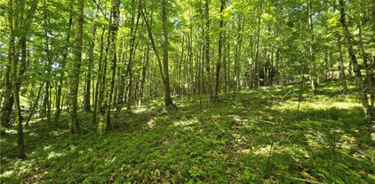 Lot 67 Deer Spring Ln/White Tail Trail, West Jefferson