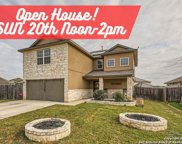 13233 Needle Grass, San Antonio image