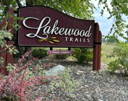 8842 Lakewood Trail Unit 16, Berrien Center image