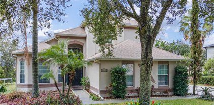 2361 Home Again Road, Apopka