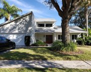 12101 Cypress Hollow Place, Tampa image