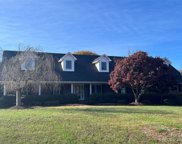 11448 Terrill Ridge  Drive, Davidson image