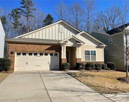 1532 Spring Blossom  Trail, Fort Mill image