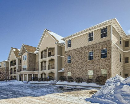 15631 Linnet Street NW Unit #3-201, Andover