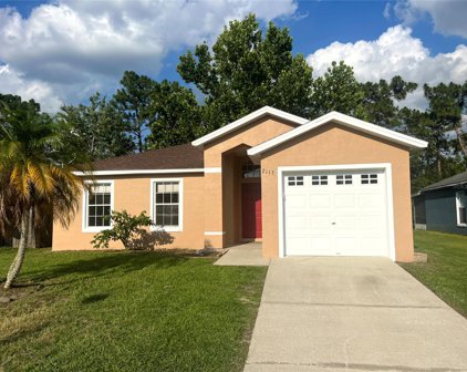2113 Hannah Lane, Orlando