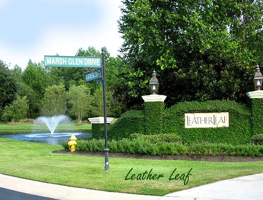 Homes for Sale in Leather Leaf