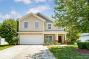 10823 Mountain Springs  Drive, Charlotte image