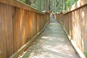 Walking Trail