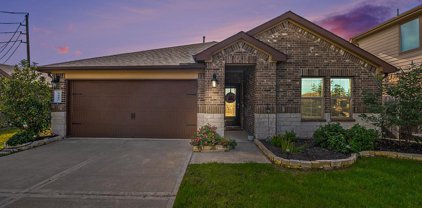 1407 Mateer Manor Court, Missouri City