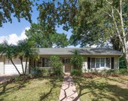 10511 Orange Grove Drive, Tampa image