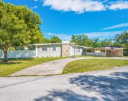 12719 Forest Hills Drive, Tampa image