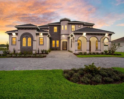 14200 Larkspur Lake Drive, Winter Garden