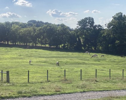 1112 Allisona Rd, Eagleville