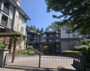 12020 207a Street Unit 204, Maple Ridge image