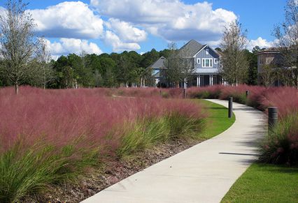 Lake Nona Real Estate