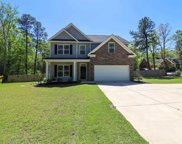 749 Amicks Ferry Road, Chapin image