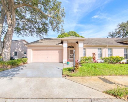 1755 Highland Club Court, Palm Harbor