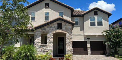 8336 Vivaro Isle Way, Windermere