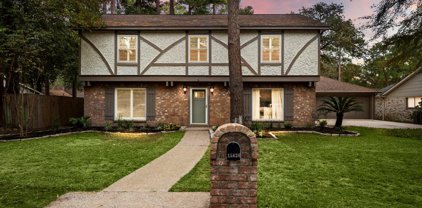 15626 Canterbury Forest Drive, Tomball