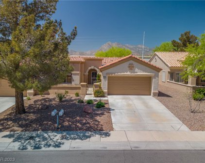 2007 Sun Cliffs Street, Las Vegas