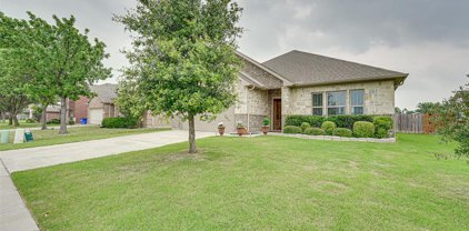 2207 Overton  Drive, Forney