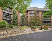7250 Lewis Ridge Parkway Unit #116, Edina image