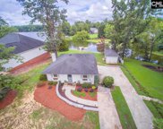 608 Newberry Drive, Chapin image