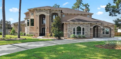 39 Oak Cove Lane, Kingwood