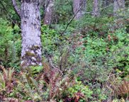 355 Wind Sun Way, Camano Island image