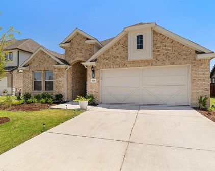 1216 Whitewing Dove  Drive, Little Elm
