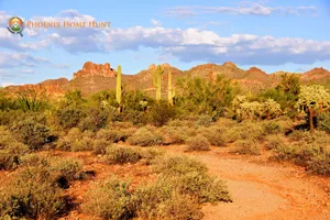 Discover Queen Creek Real Estate