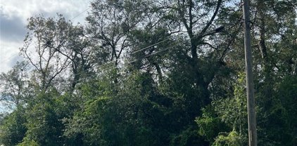 Trailwood Drive, Apopka