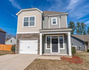 211 Ventnor Road, Chapin image