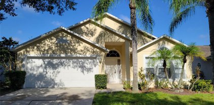 14524 Lycastle Circle, Orlando