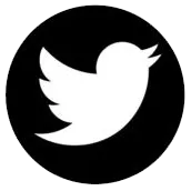 Twitter Icon