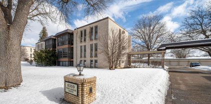 6309 York Avenue S Unit #201, Edina