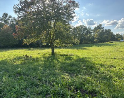 Clarksville Pike, Joelton