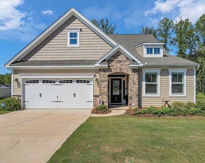 437 Cripps Pink Place, Greer