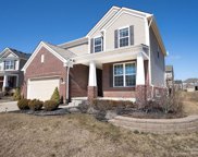 58152 Jonagold, Lyon Twp image