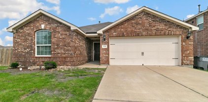 9430 Bald Cypress  Street, Forney