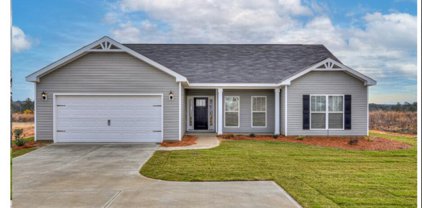 143 WILLOW OAK Circle, Thomson