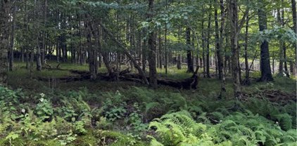 TBD Cranberry Lane, Beech Mountain