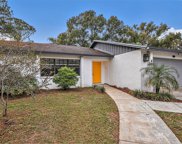 4702 Country Hills Drive, Tampa image