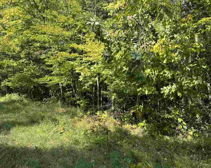 1702 Trails End Road, Mackinaw City